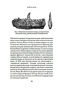 Pūkas, asinis un miljoni gadi. Pilnīga dinozauru vēsture