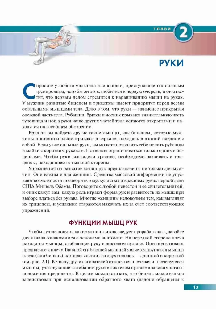 Анатомия силовых упражнений с использованием в качестве отягощения собственного веса