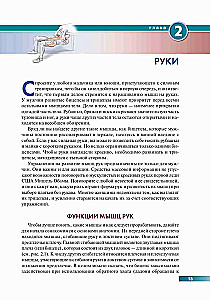 Анатомия силовых упражнений с использованием в качестве отягощения собственного веса