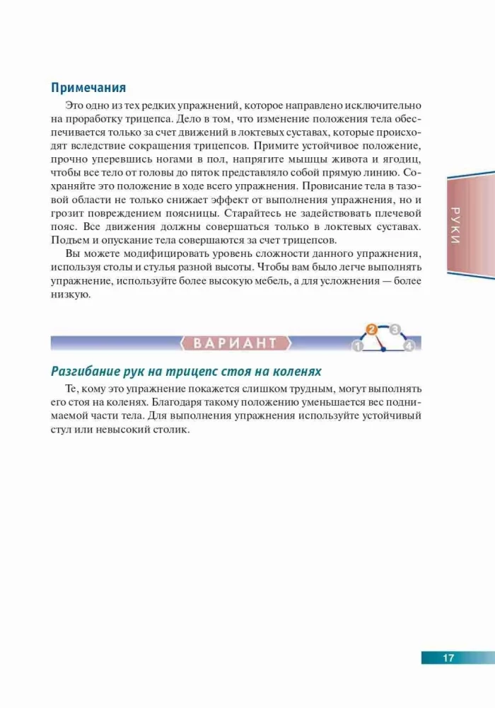 Анатомия силовых упражнений с использованием в качестве отягощения собственного веса