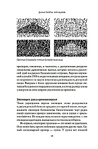 Женщина. Эволюционный взгляд на то, как и почему появилась женская форма