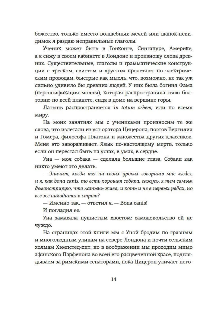 Как натаскать вашу собаку по АНТИЧНОСТИ и разложить по полочкам основы греко-римской культуры