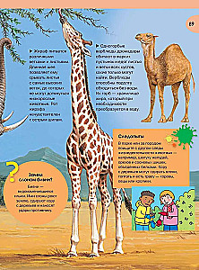 Wielka encyklopedia wiedzy
