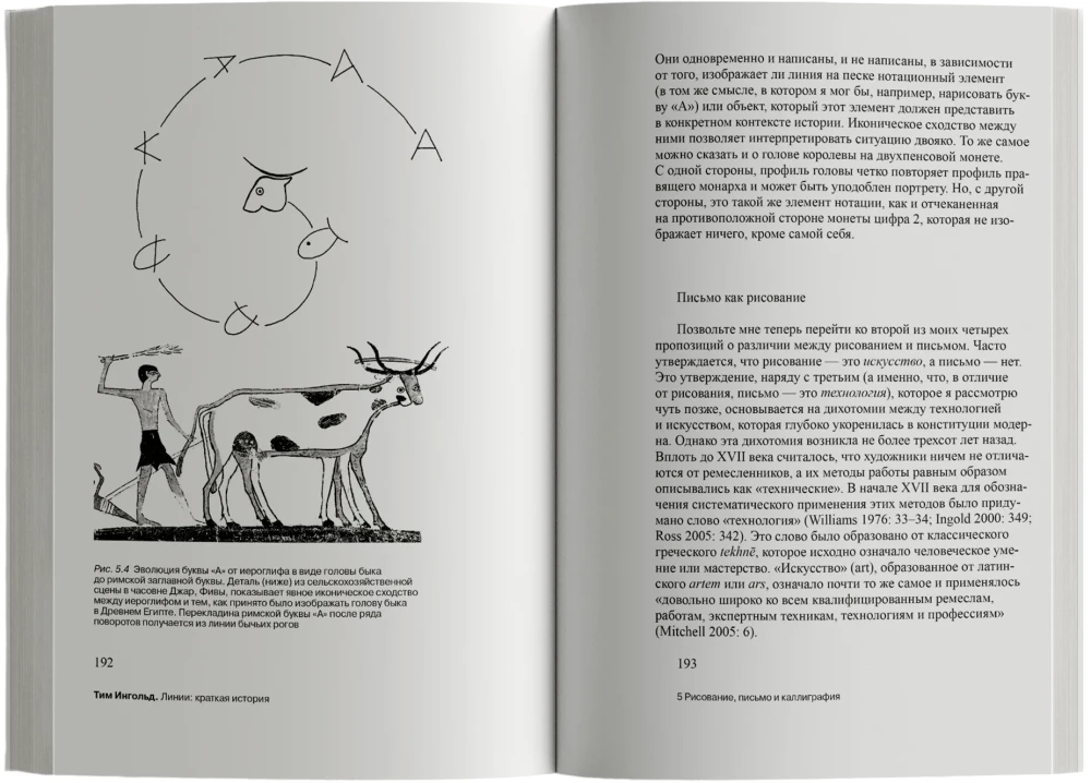 Līnijas: īsa vēsture