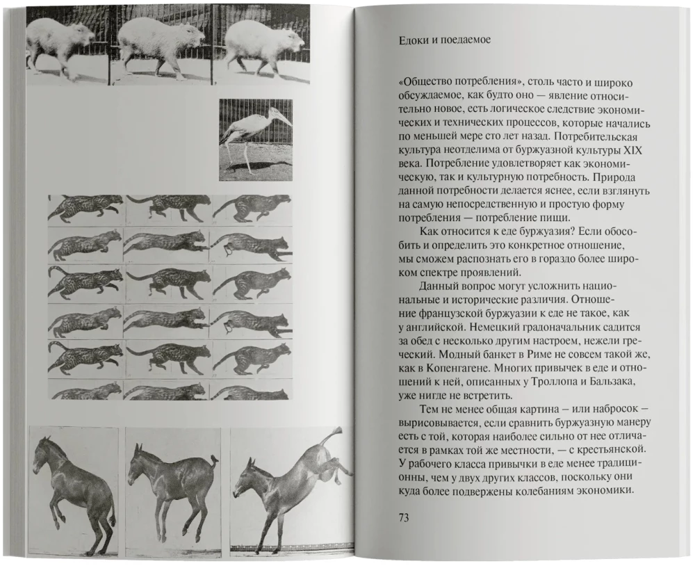 Зачем смотреть на животных?