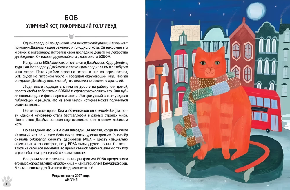 Wybitne koty! Zdumiewające historie o odważnych kotach