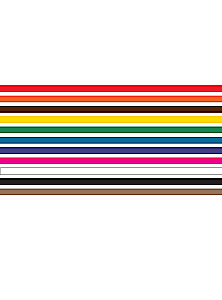 The History of Color. How Paints Changed Our World