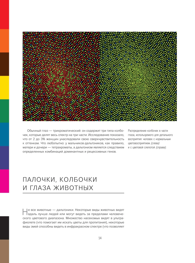 The History of Color. How Paints Changed Our World