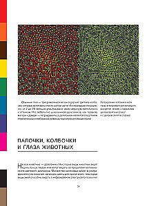 The History of Color. How Paints Changed Our World