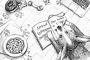 The Diary of a Noble Mutt