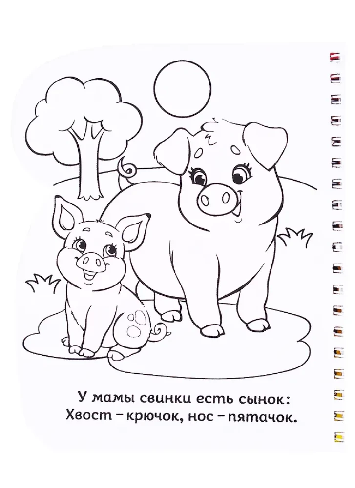 Spalvinimo knyga - Piešiame su vandeniu. Kas kieno vaikis?