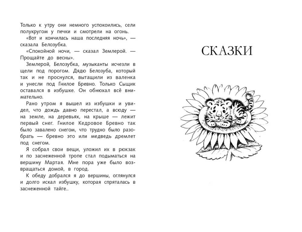 The Adventures of Vasya Kurolesov