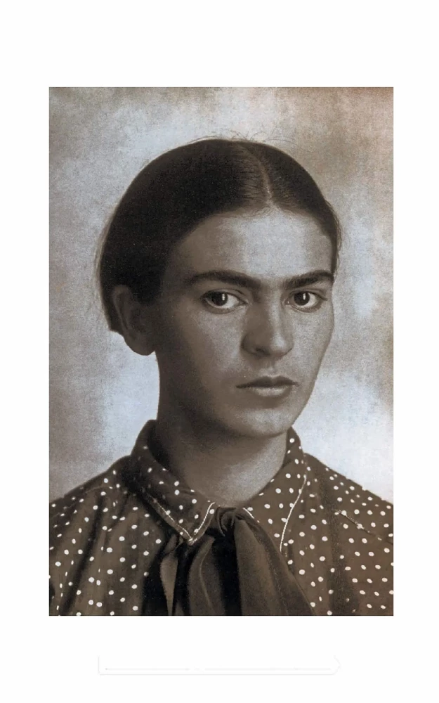 Menų biografija. Viva la Frida