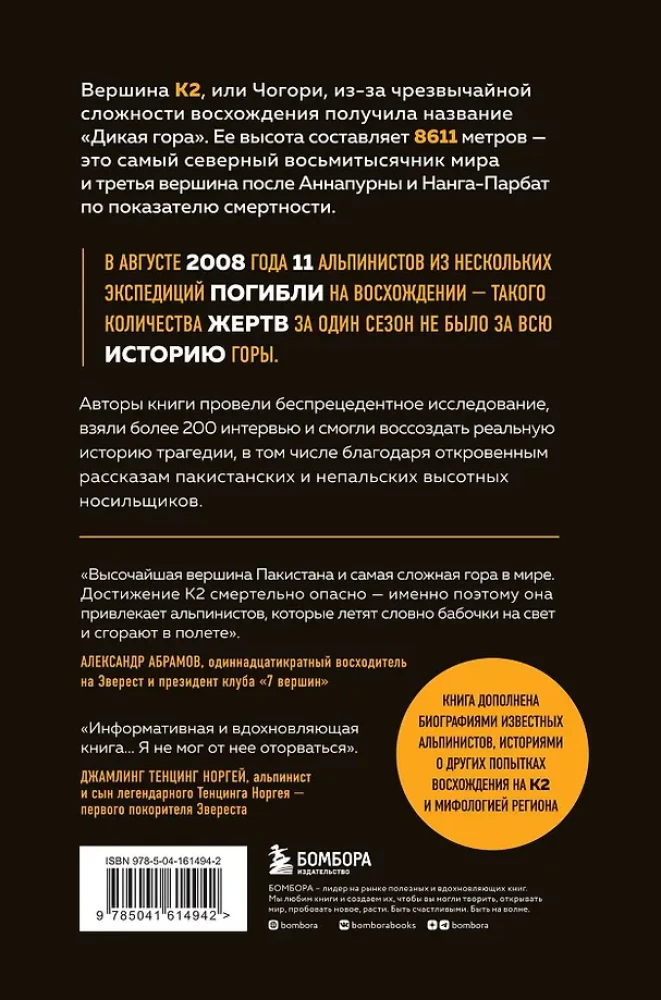 Смертельный спуск. Трагедия на одной из самых сложных вершин мира — К2
