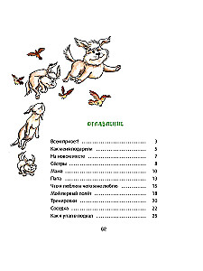 Puh, der fliegende Hund