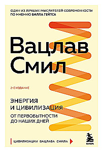Energy and Civilization. From Primitivism to Our Days