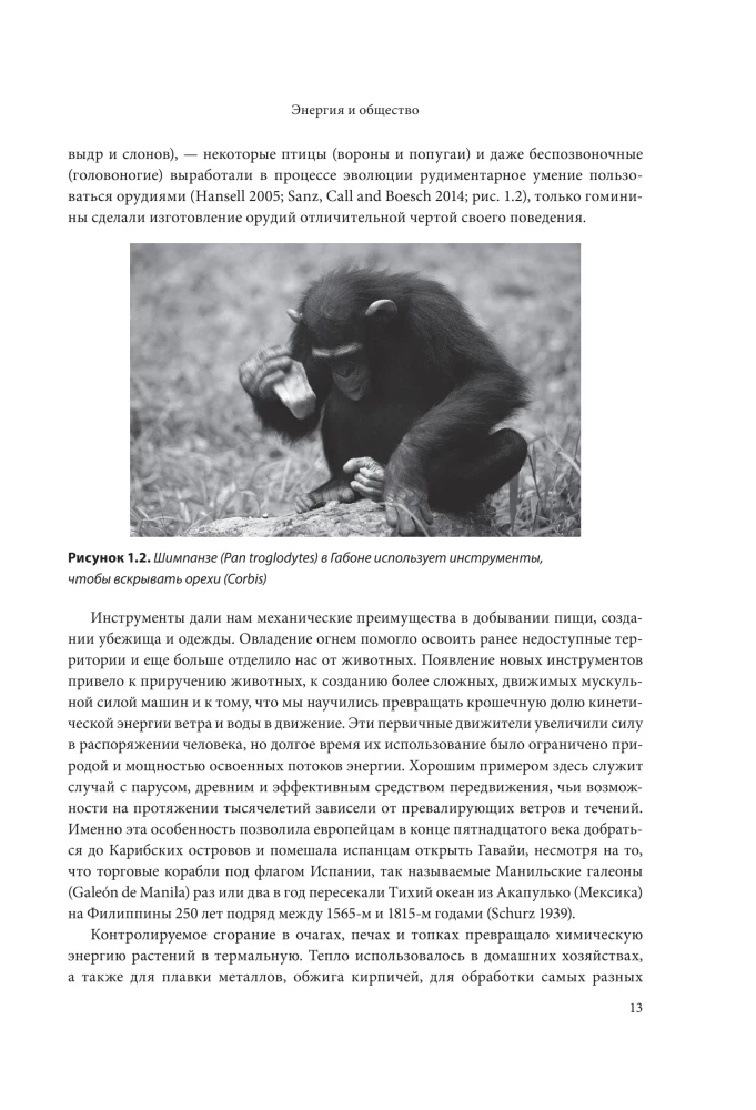 Energy and Civilization. From Primitivism to Our Days