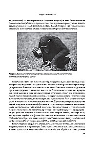 Energy and Civilization. From Primitivism to Our Days