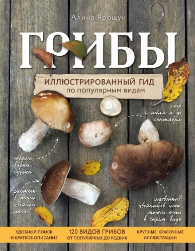 Grybai. Iliustruotas vadovas pagal populiarius tipus