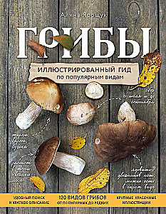 Mushrooms. An Illustrated Guide to Popular Species
