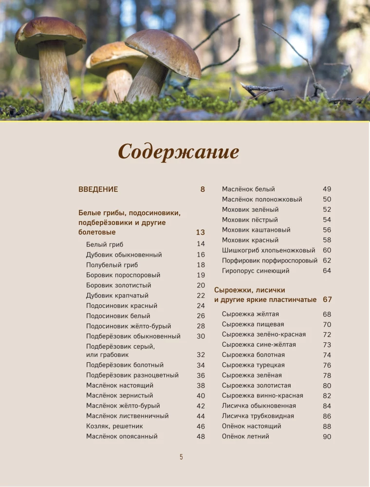 Mushrooms. An Illustrated Guide to Popular Species
