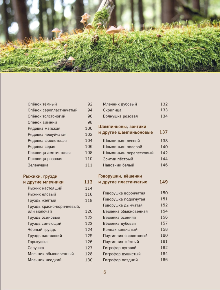 Mushrooms. An Illustrated Guide to Popular Species