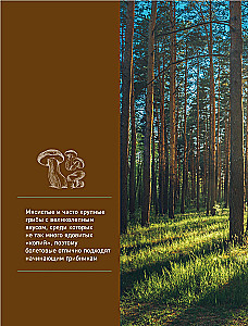 Mushrooms. An Illustrated Guide to Popular Species