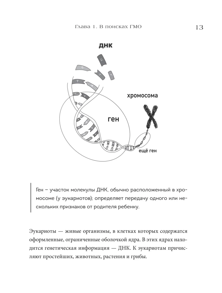 Wie man Gene in Zellen anfreundet. Jugendcocktail, leuchtende Kätzchen, gedruckte Organe und andere Schönheiten der Wissenschaft