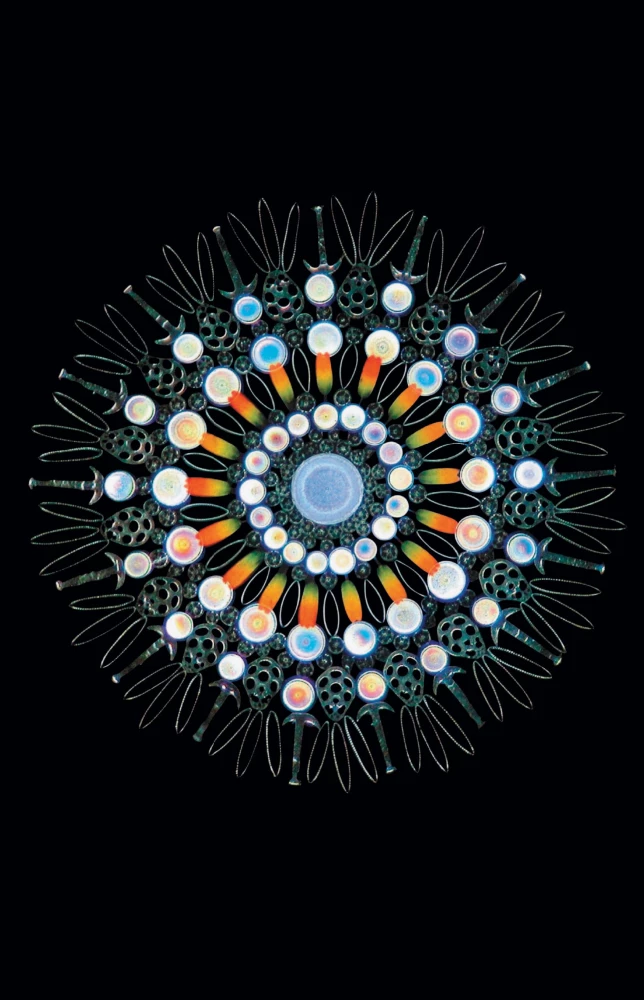 Cosmos. Possible Worlds