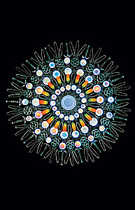 Cosmos. Possible Worlds