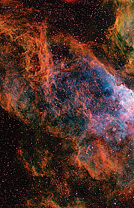Cosmos. Possible Worlds