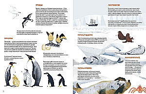 Antarctica. Amazing Facts About the Most Mysterious Continent on Earth