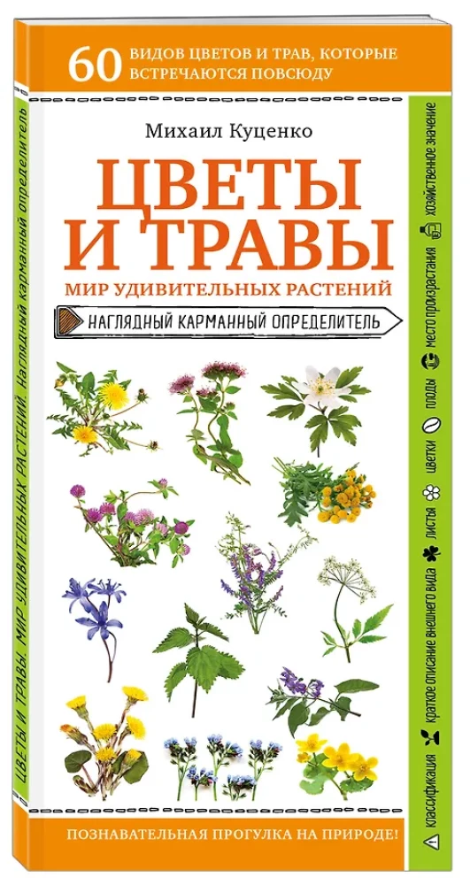 Gėlės ir žolės. Nuostabių augalų pasaulis