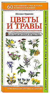 Gėlės ir žolės. Nuostabių augalų pasaulis