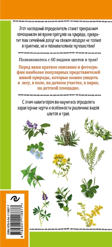 Gėlės ir žolės. Nuostabių augalų pasaulis