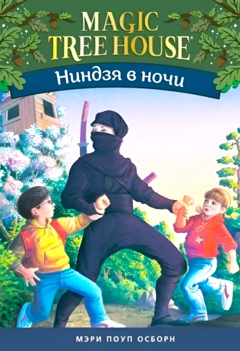 Ninja in der Nacht