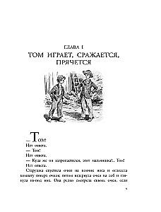 Przygody Tomka Sawyera