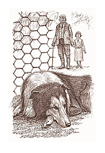 Lesi atgriežas mājās : stāsts