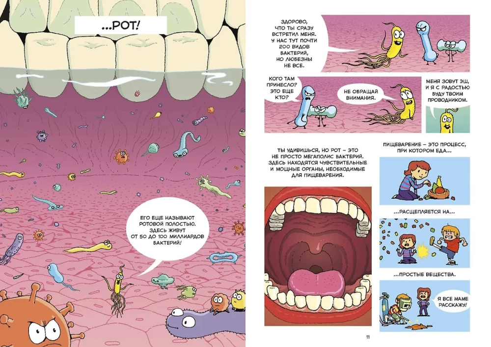 Digestion. Scientific Comic