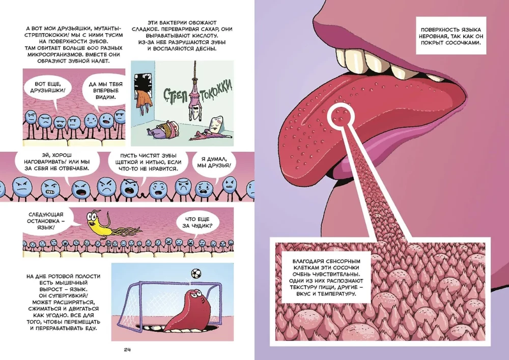 Digestion. Scientific Comic