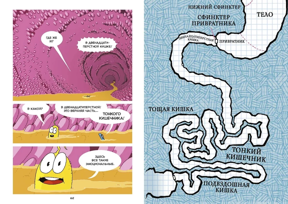 Digestion. Scientific Comic