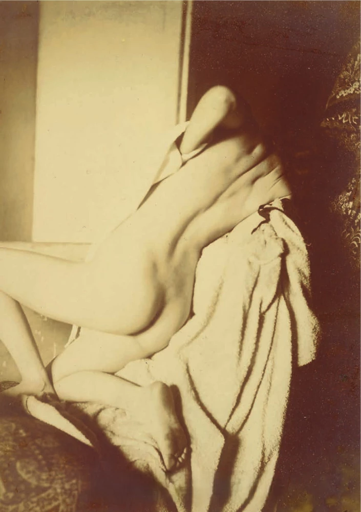Das Wichtigste in der Geschichte der Fotografie. Genres, Werke, Themen, Techniken