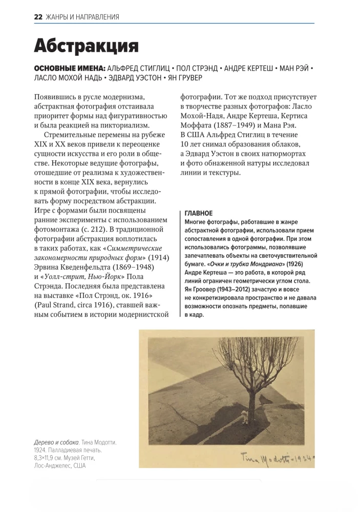 Das Wichtigste in der Geschichte der Fotografie. Genres, Werke, Themen, Techniken