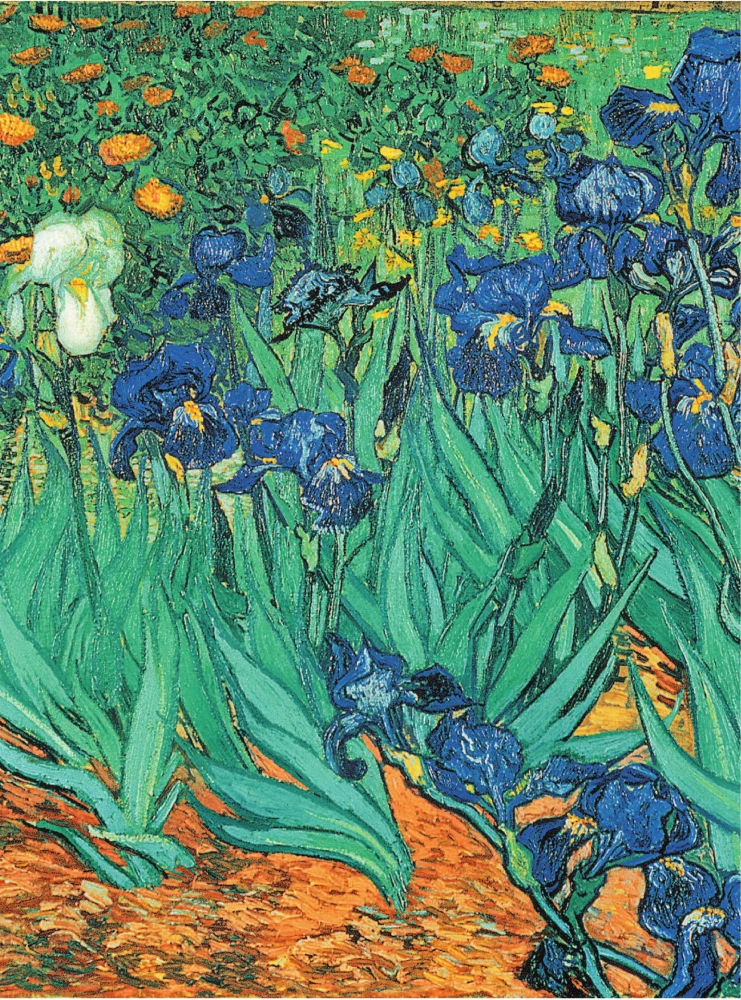 Van Gogh. Life and Creativity in 500 Paintings