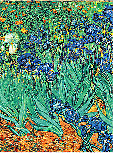 Van Gogh. Life and Creativity in 500 Paintings