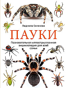 Pająki. Ilustrowana encyklopedia dla całej rodziny