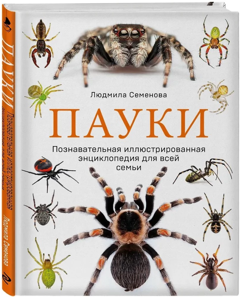 Pająki. Ilustrowana encyklopedia dla całej rodziny
