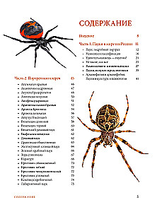 Pająki. Ilustrowana encyklopedia dla całej rodziny