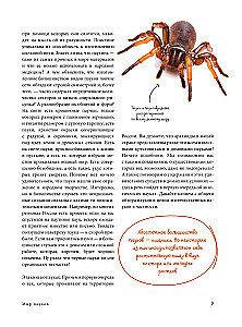 Pająki. Ilustrowana encyklopedia dla całej rodziny