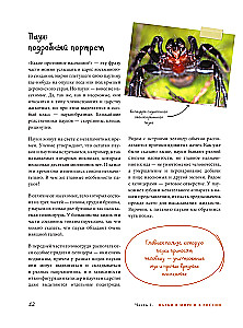 Pająki. Ilustrowana encyklopedia dla całej rodziny